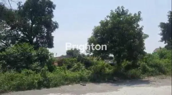 image TANAH STRATEGIS PINGGIR JALAN RAYA UTAMA SEMARANG JAUH DI BAWAH NJOP (6)