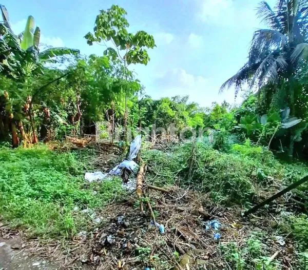 image TANAH KOMERSIAL 7.770M² DI BUNCIT MAMPANG (3)