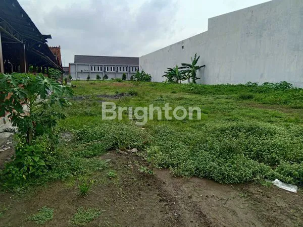 image TANAH PEKARANGAN DI JL YOGYA SOLO (3)