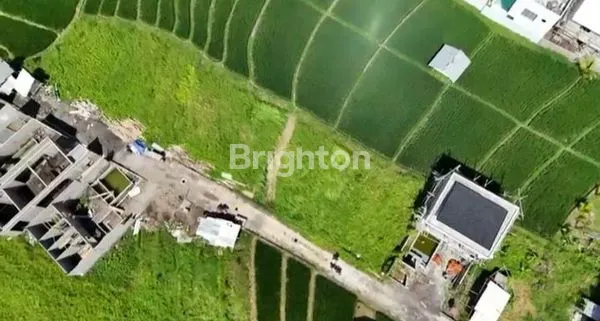 image TANAH 12 ARE VIEW SAWAH DEKAT CANGGU (1)