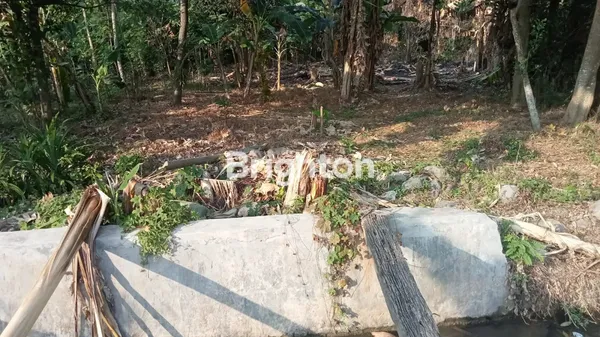 image JUAL MANGKANG TANAH DI MANGKANG DEKAT PABRIK KIK KENDAL (2)