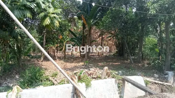 image JUAL MANGKANG TANAH DI MANGKANG DEKAT PABRIK KIK KENDAL (3)