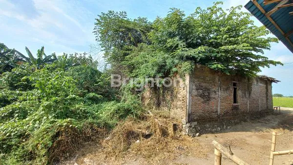 image KAVLING STRATEGIS SUKOHARJO, HARGA TERJANGKAU (1)