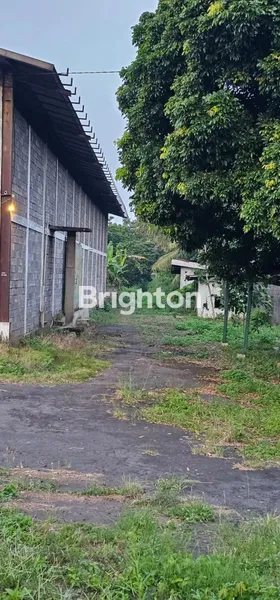 image GUDANG KAYU DI BAWEN PINGGIR JALAN RAYA DEKAT EXIT TOL BAWEN (4)