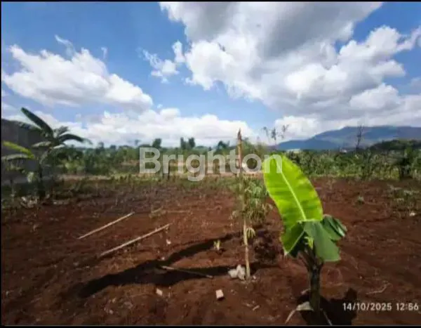 image DIJUAL TANAH KOSONG LT  946M² LOKASI CIKANCUNG RANCAEKEK. BANDUNG  (1)