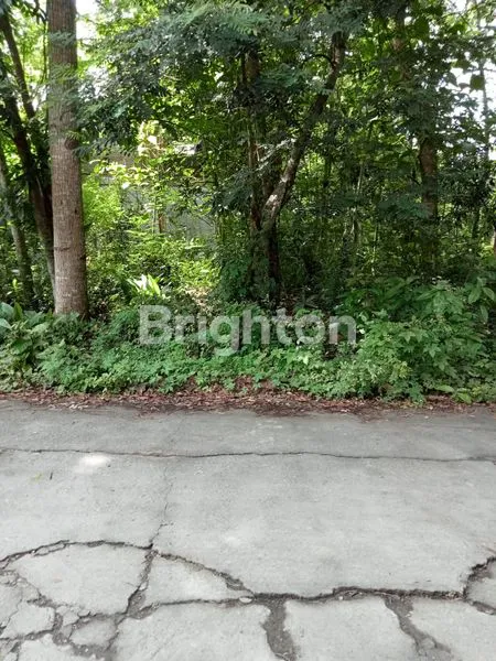 image TANAH MURAH 180M² DEKAT KAMPUS UMY BANTUL (3)