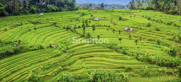 image CIPUTRA VILLA WEST BALI WITH POTENTIAL CASHFLOW RIGHTAWAY (7)