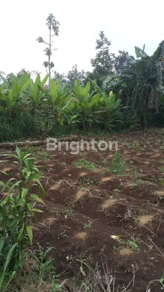 image JUAL TANAH SANGAT LUAS, PINGGIR JALAN RAYA UTAMA, DI LOKASI STRATEGIS (2)