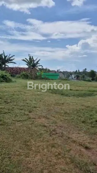 image TANAH DAERAH CISAUK BISA NEGO (2)