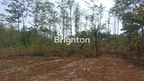 image TANAH COCOK UNTUK INVESTASI PROPERTY DI KEDUNGPANE SEMARANG BARAT 500M2 (1)