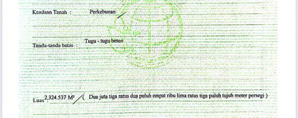 image HGU LAHAN TEBU 230 H JAWATIMUR (3)