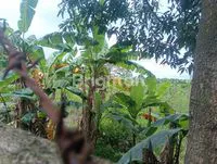 IMG20251113120856 BURST000 COVER