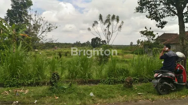 image DIJUAL TANAH PREMIUM 40 ARE COCOK INVESTASI  EKSKLUSIF DI  JEMBRANA (2)