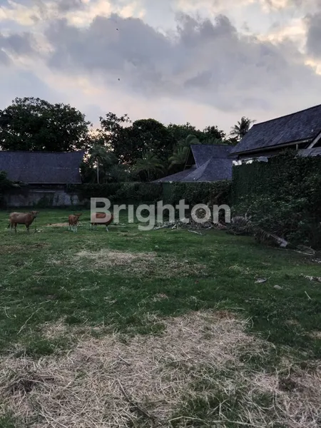 DIJUAL TANAH KOMERSIAL 13,5 ARE DI  TIYINGTUTUL, PERERENAN (LOKASI VILLA AREA)