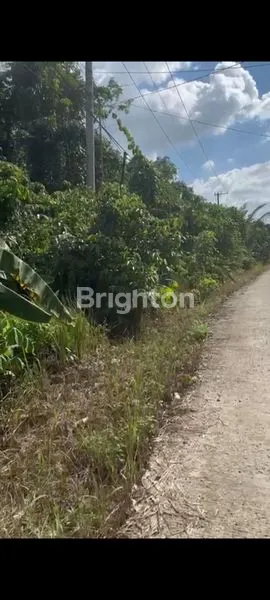 Gambar Property TANAH LUAS 2 HEKTAR DI POROS JALAN TEMBUS TOL