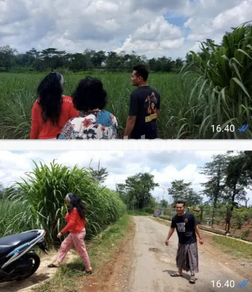 image INVESTASI TANAH SUBUR SHM DI PATI (4)