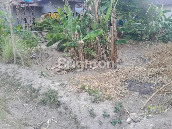 image TANAH PEKARANGAN 172 M² DI BERBAH (2)