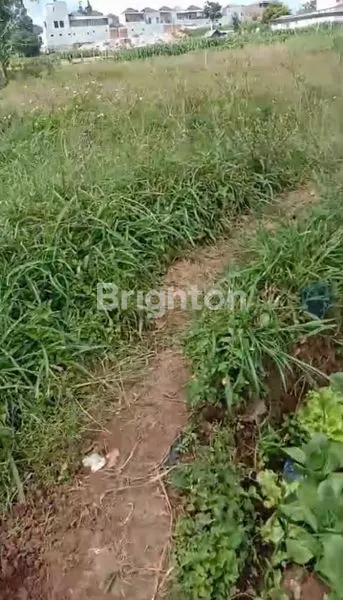 image TANAH LUAS 1420M² SHM DI CISARUA, SIAP VILLA (2)