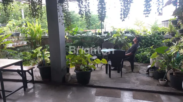 image RUKO 3 LANTAI STRATEGIS NOL JALAN RAYA KAPASARI DI JANTUNG KOTA SBY DEKAT TAMBAKSARI KAPASAN ITC PS ATOM KAPAS KRAMPUNG KENJERAN SURAMADU MERR (8)