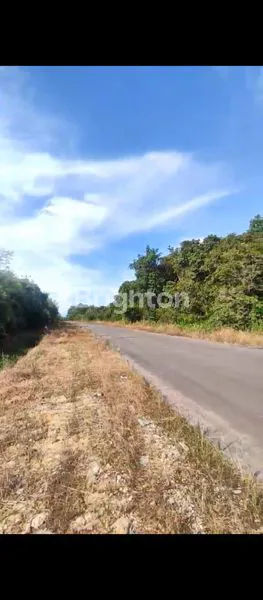 image TANAH KOMERSIL STRATEGIS DEKAT BANDARA PUTUSSIBAU (3)
