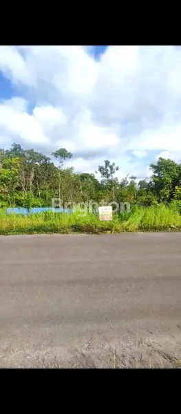 image TANAH KOMERSIL STRATEGIS DEKAT BANDARA PUTUSSIBAU (2)