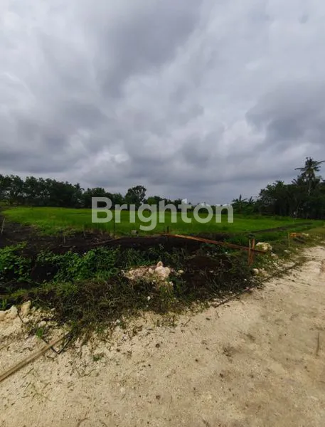 image TANAH EXCLUSIVE BELONG BEACH TABANAN (7)