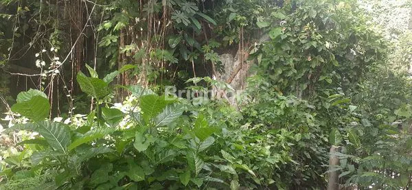 image TANAH PROSPEK 1.637 M² LOKASI PREMIUM, DEKAT BIO DISTRICT & APARTEMEN THE AVENUE PARKLAND (4)