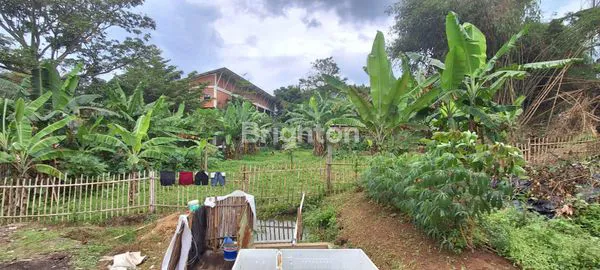 image TANAH SHM SIAP BANGUN DI SUKASARI (3)