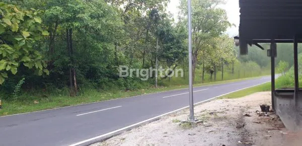 image *LAHAN TANAH PINGGIR JALAN DEKAT WADUK GAJAHMUNGKUR WONOGIRI* (1)