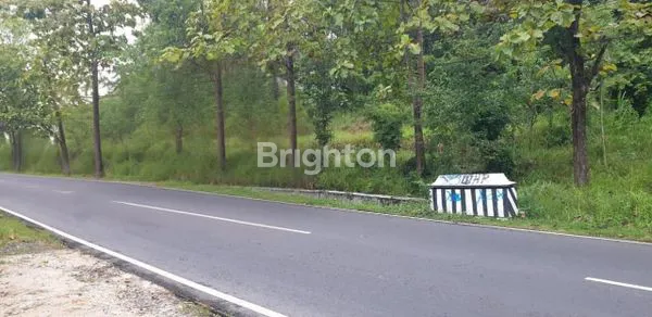 image *LAHAN TANAH PINGGIR JALAN DEKAT WADUK GAJAHMUNGKUR WONOGIRI* (2)