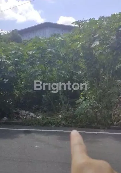 image BALI MUDING (1)