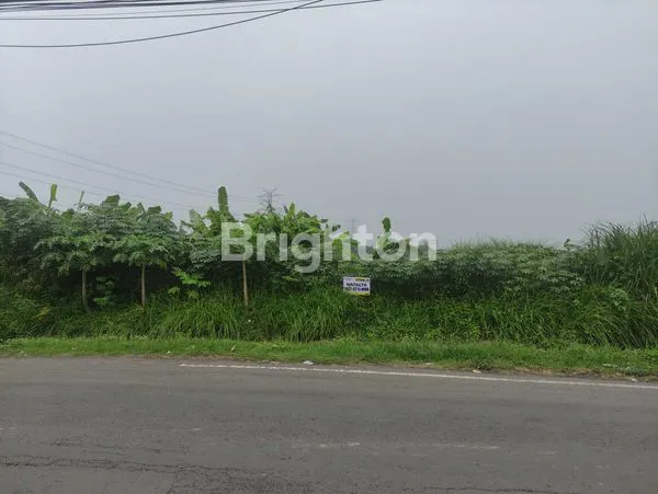 image JUAL TANAH KAVLING DI PANDAAN (3)