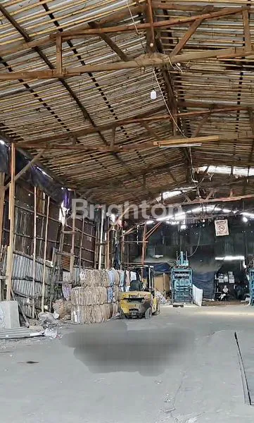 image CILODONG DEPOK TANAH (4)