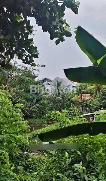 image CILODONG DEPOK TANAH (8)