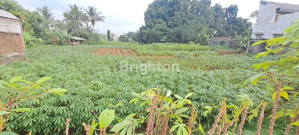 image JUAL TANAH LUAS, DITEPI JALAN RAYA  DI LOKASI STRATEGIS (3)