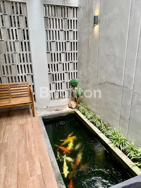 image DISCOVERY TERRA, BSD (6)