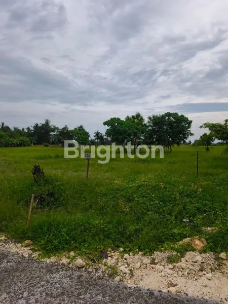 image DIJUAL  TANAH KAVLING EXCLUSIVE DITABANAN PANGKUNG TIBAH PANTAI BELONG  (2)