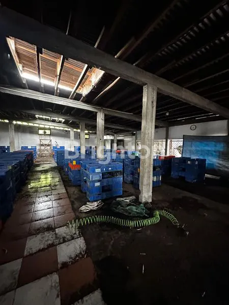 image JUAL EX PABRIK KERUPUK LUAS 2.000M² DI TULANGAN SIDOARJO (4)