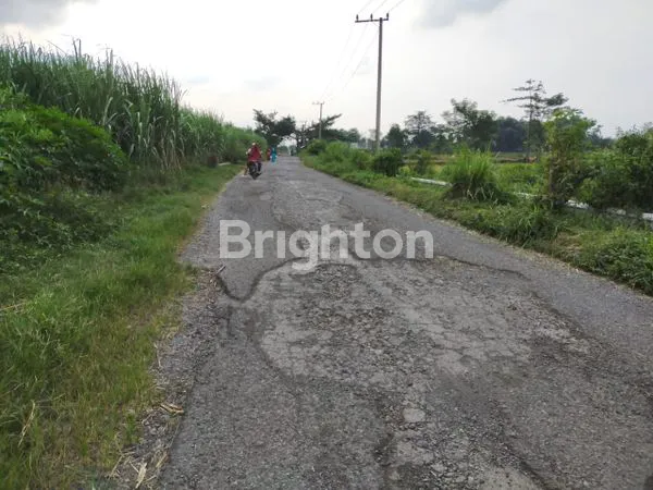 image TANAH 1.4 HEKTAR STRATEGIS DI SUKOREJO PASURUAN (3)