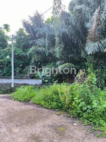 image TANAH LOKASI STRATEGIS DI TABANAN (6)