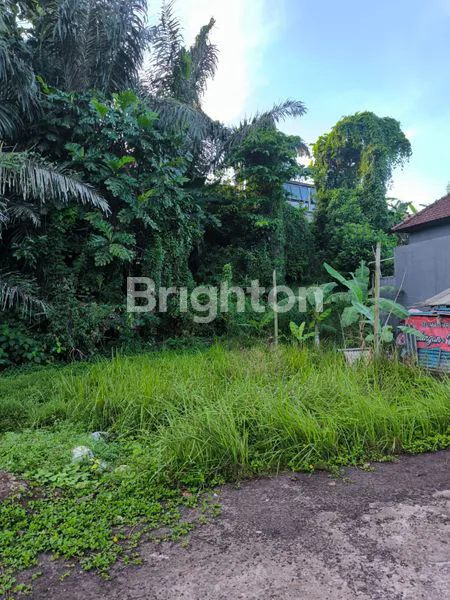 image TANAH LOKASI STRATEGIS DI TABANAN (3)