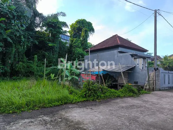 image TANAH LOKASI STRATEGIS DI TABANAN (4)