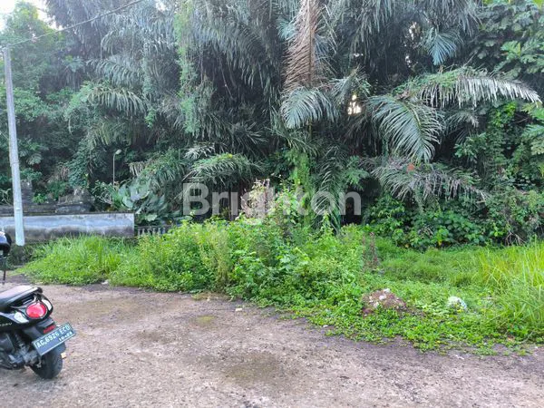 image TANAH LOKASI STRATEGIS DI TABANAN (2)