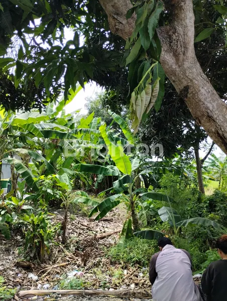 image JUAL TANAH AREA SUBAK CANGGU, DKT JL PANTAI BATU BOLONG, KUTA (1)