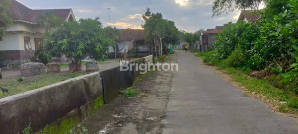 image LAHAN PEKARANGAN PADAT PENDUDUK DISEWAKAN (6)