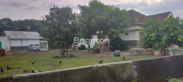 image LAHAN PEKARANGAN PADAT PENDUDUK DISEWAKAN (3)