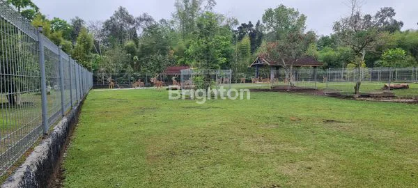 image HUNIAN NYAMAN DI YOGYAKARTA, TANAH + BANGUNAN (8)