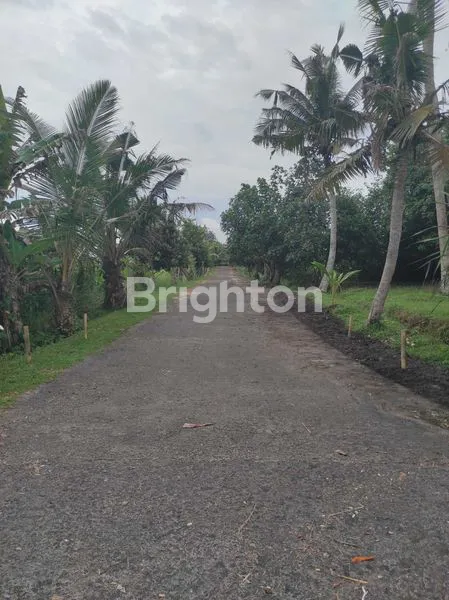 image DI JUAL TANAH PINGGIR PANTAI  (3)