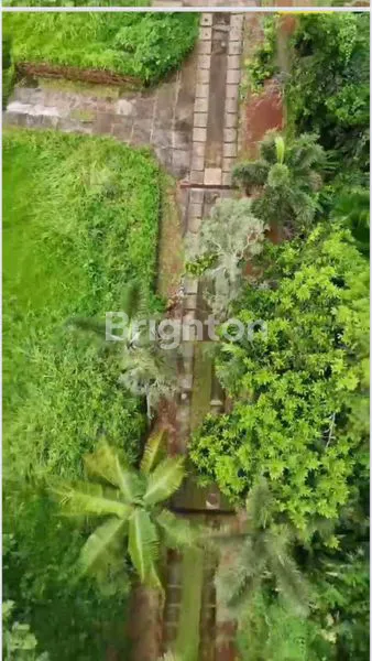 image DI JUAL RUMAH RASA VILLA 40% DI BAWAH NJOP SUPER LUAS DI JAGAKARSA – LOKASI STRATEGIS!!! DEKAT CITOS & TB SIMATUPANG (3)