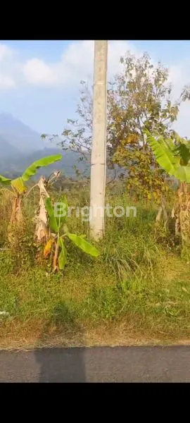 image DI JUAL TANAH (1)